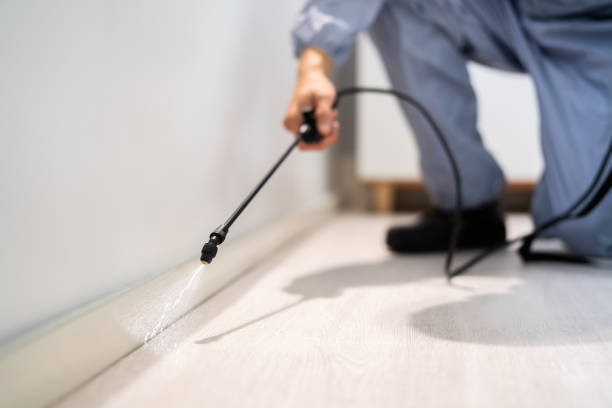 Licensed Cockroach Control service in Meridian, MS - Nex Pest Control