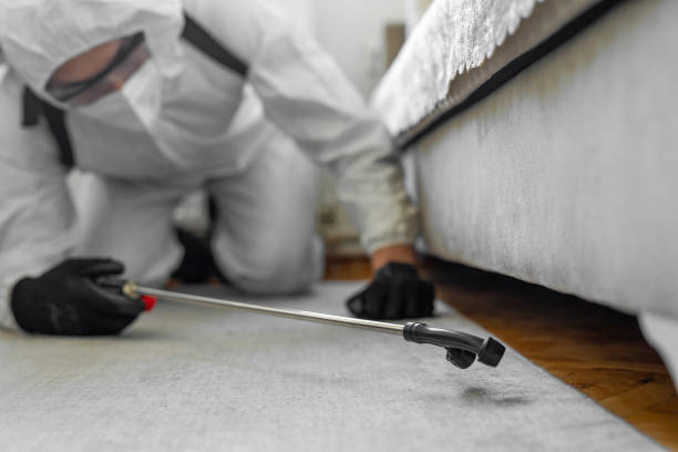 Professional Cockroach Control technician working in Meridian, MS