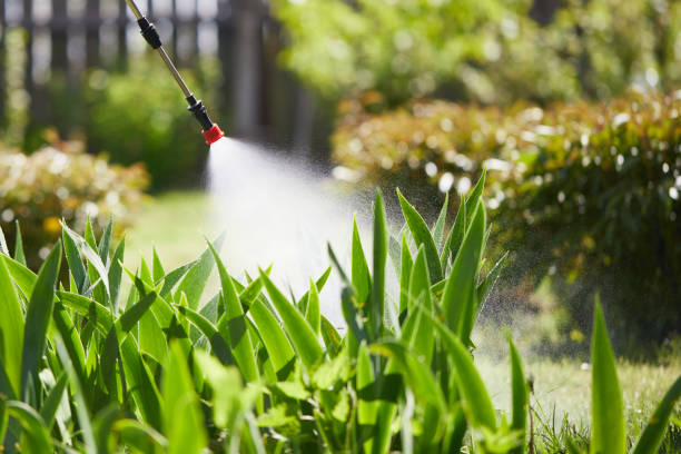 24/7 Emergency Cockroach Control experts in Meridian, MS