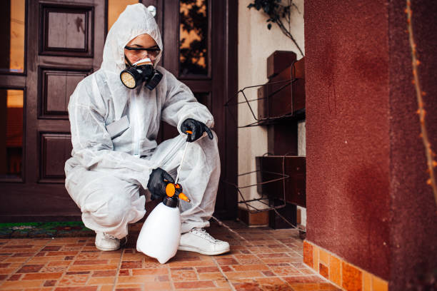 Reliable Cockroach Control contractor in Meridian, MS by Nex Pest Control