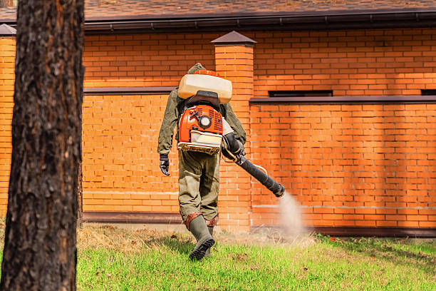 Trusted Cockroach Control service in Meridian, MS - Nex Pest Control